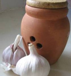 Garlic pot