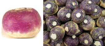 Neeps and turnips, Fresh leeks
