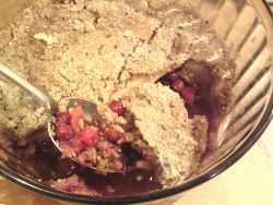 Fruit Crumble