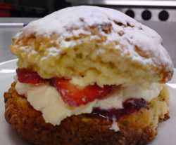 Fruit Scone