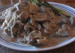 Mushroom Stroganoff